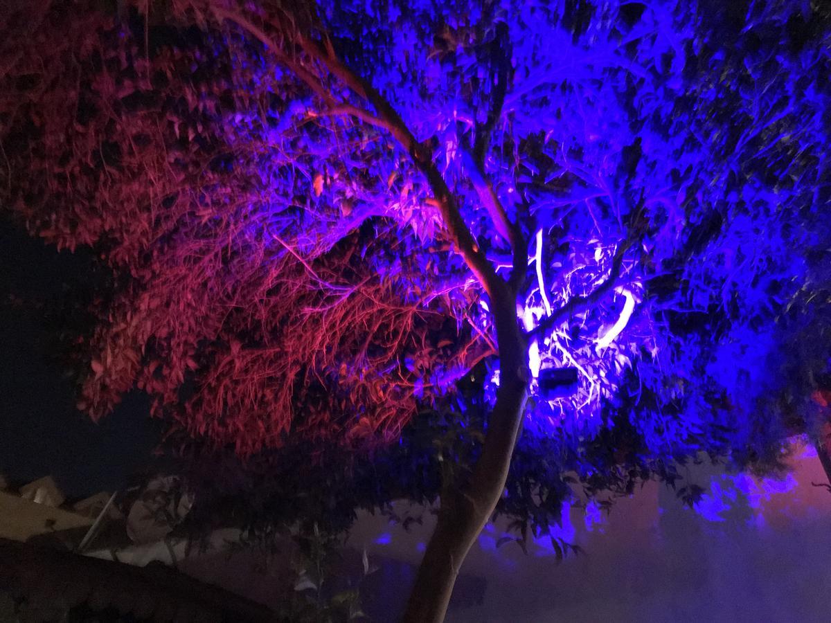 Kemer Manastir Hotel Экстерьер фото
